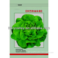 Organic Early Mature Butter Lettuce Seeds For Planting